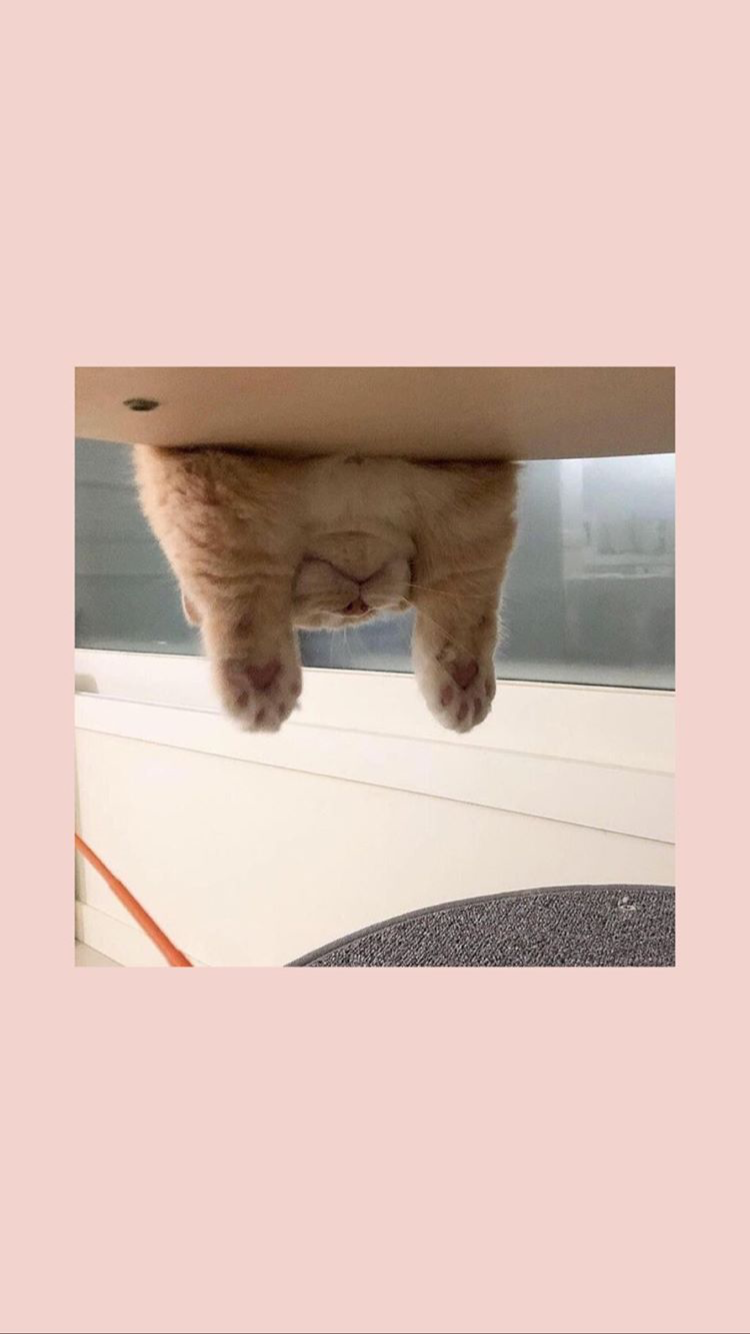 (notitle)