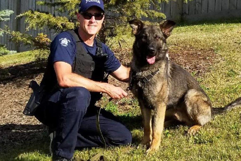 B C Rcmp Dog Hammer Helps Police Nab Suspects Find Lost Hiker