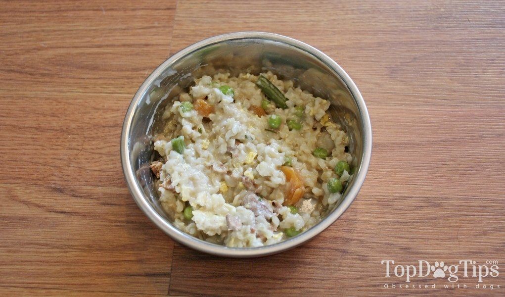 Healthiest Homemade Dog Food With Ground Beef Dog Food Recipes