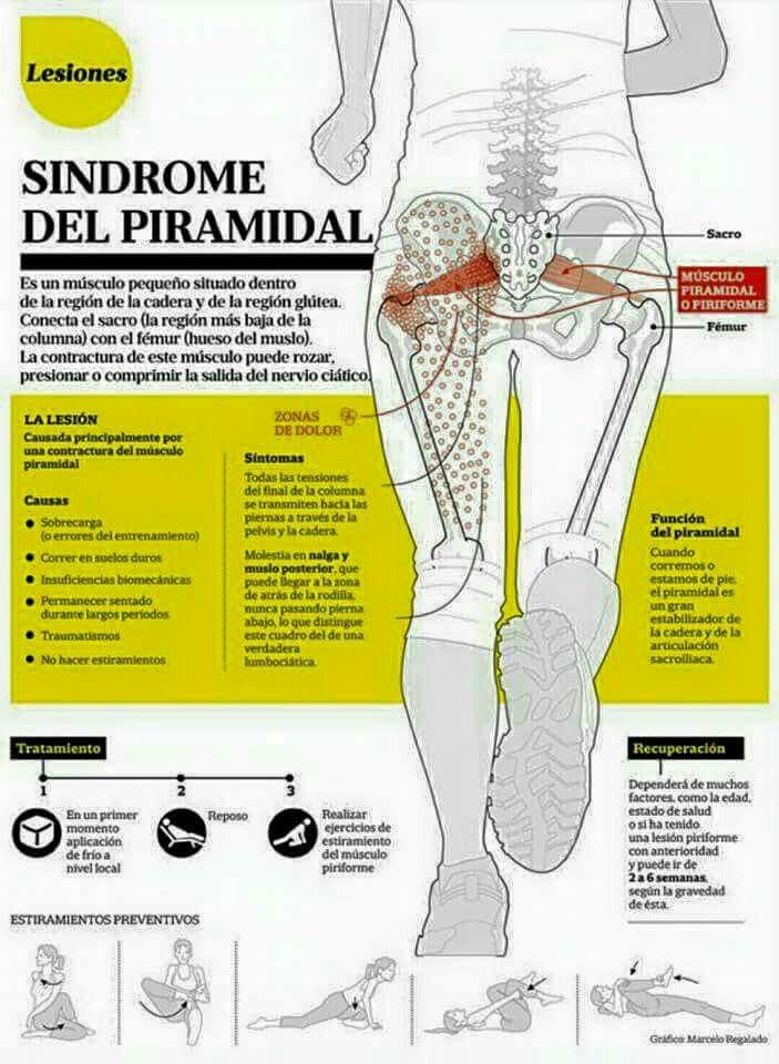 64 Ideas De Fisioterapia Frases Fisioterapia Y Rehabilitacion Terapia Fisica Y Rehabilitacion Kinesiologia