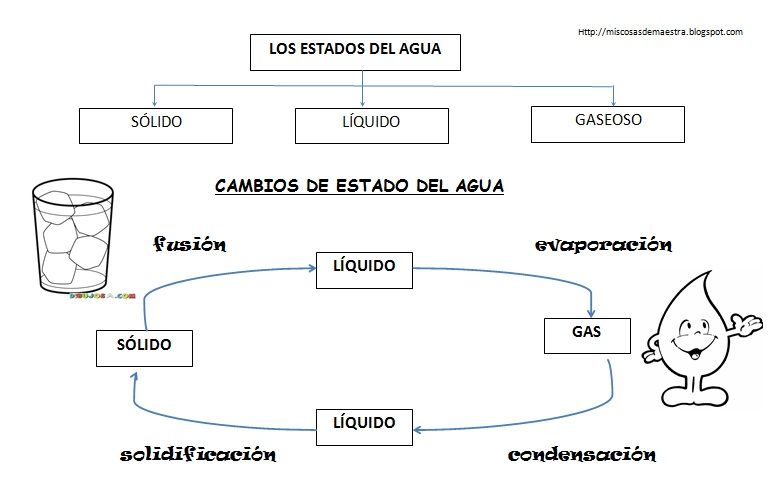 Actividades Para Niños Sobre El Agua Buscar Con Google Ciclo Del Agua Ciencias Naturales Clase De Química