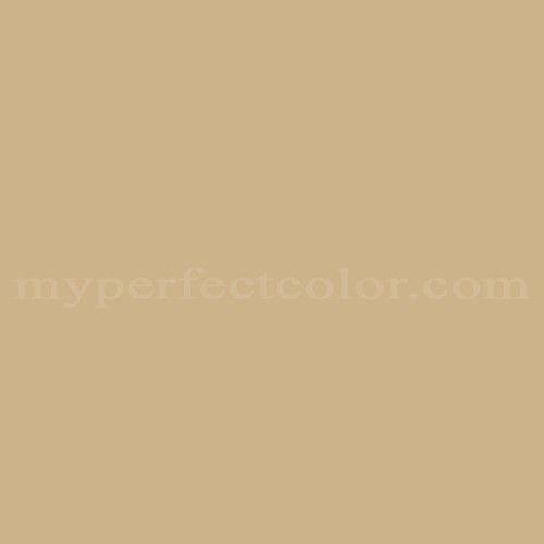 Benjamin Moore Shakespeare Tan It S Actually Pretty Green Benjamin Moore Shakespeare Tan It S Actually Pretty Green Oh Well In Our Guest Room