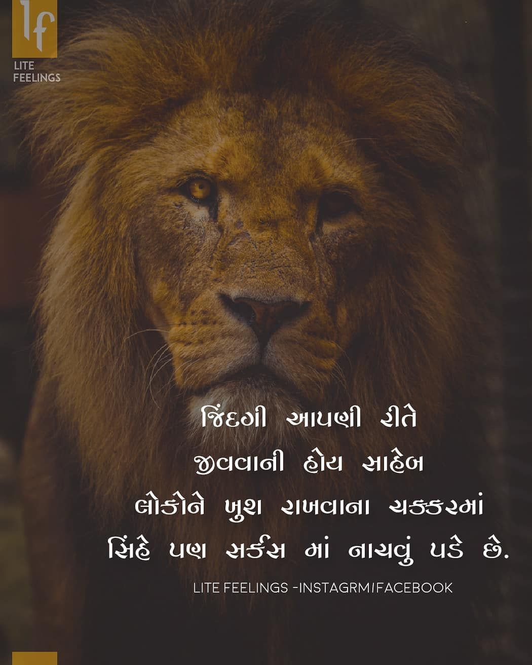 View 22 Self Confidence Hard Work Quotes In Gujarati - Kremi Png