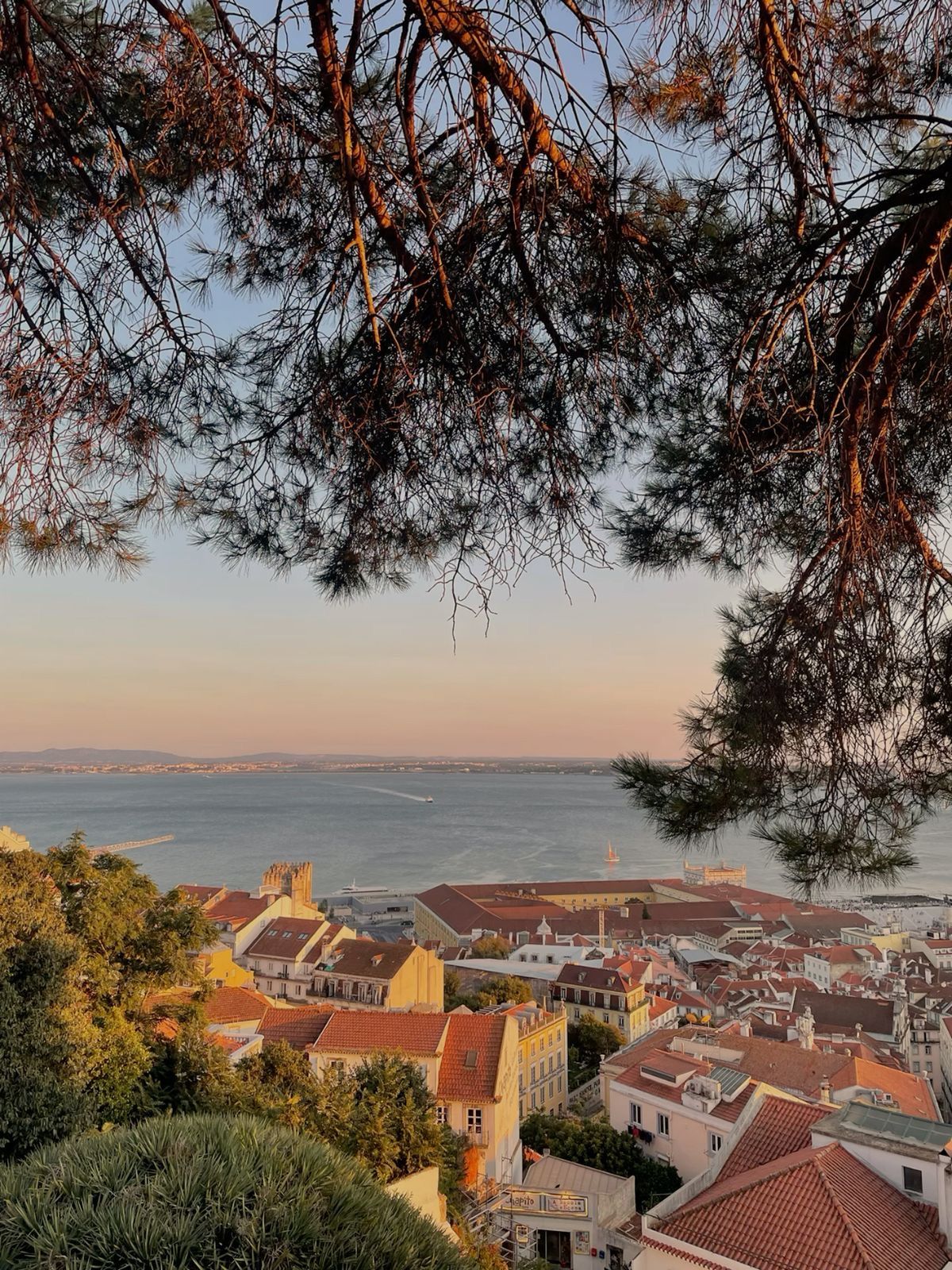 Is Lisbon Worth Visiting for your first Solo Trip
