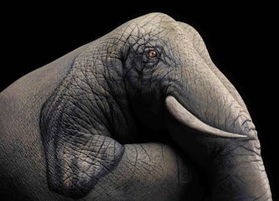 Stunning Examples Of Hyper Realistic Hand Art Cool Hd Wallpapers Stunning Examples Of Hyper Realistic Hand Art Cool Hd Wallpapers Picture Background Photos Image Free Hq Wallpaper Pc