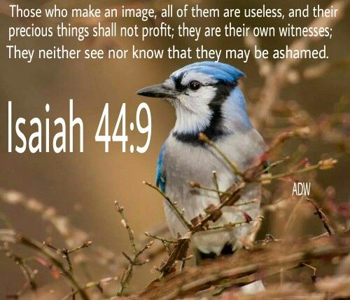 Isaiah 44 9 Blue Jay Bird Jay bible-verse-image-browser