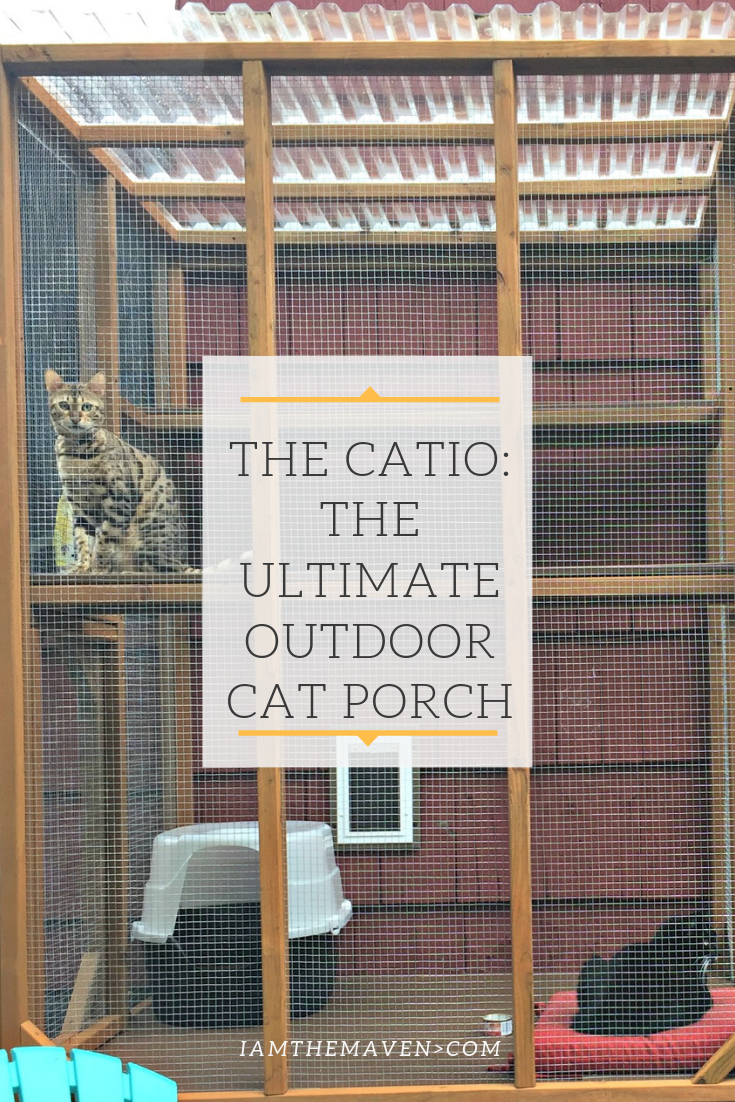 If you have indoor cats the want to go outside, DIY a Catio. This outdoor cat enclosure keeps your cats safe. What cat wouldn't love their own outdoor cat porch? This is a custom built catio that keeps the catbox outside. | Cat Enclosure | Cat Playpen | Cat Run | Best Cat Cages | Outdoor Cat Run Outside Cat Enclosure, Diy Cat Enclosure, Outdoor Pet Enclosure, Reptile Enclosure, Outdoor Cat Cage, Outdoor Cat House, Outdoor Cats, Cat Cage Diy Indoor, Outdoor Cat Habitat