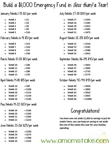 Build a $1000 Emergency Fund in less than a year! #Savings #Finance