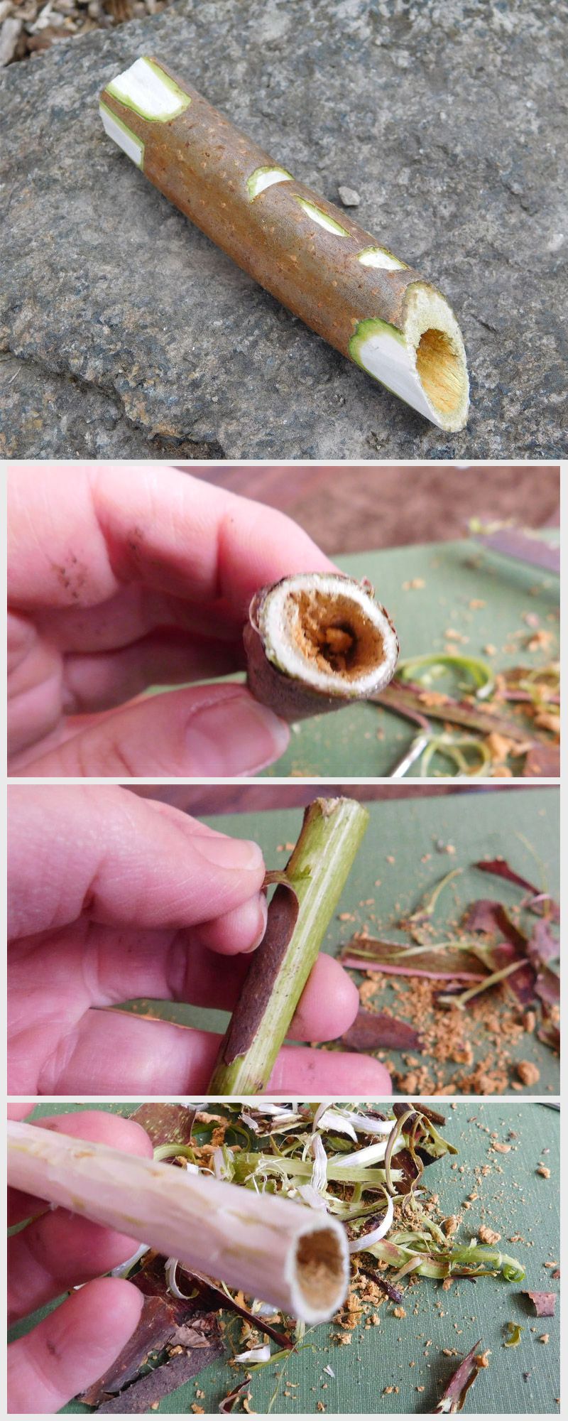 14 tree sap ideas tree sap sap remove tree sap coconut tree removal on 14 tree sap ideas tree sap sap remove tree sap 14 tree sap ideas tree sap sap