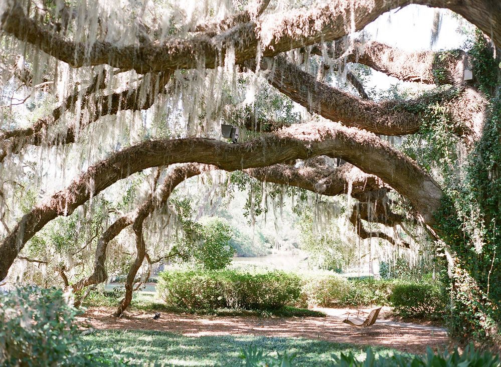 rose hill plantation bluffton sc amenities