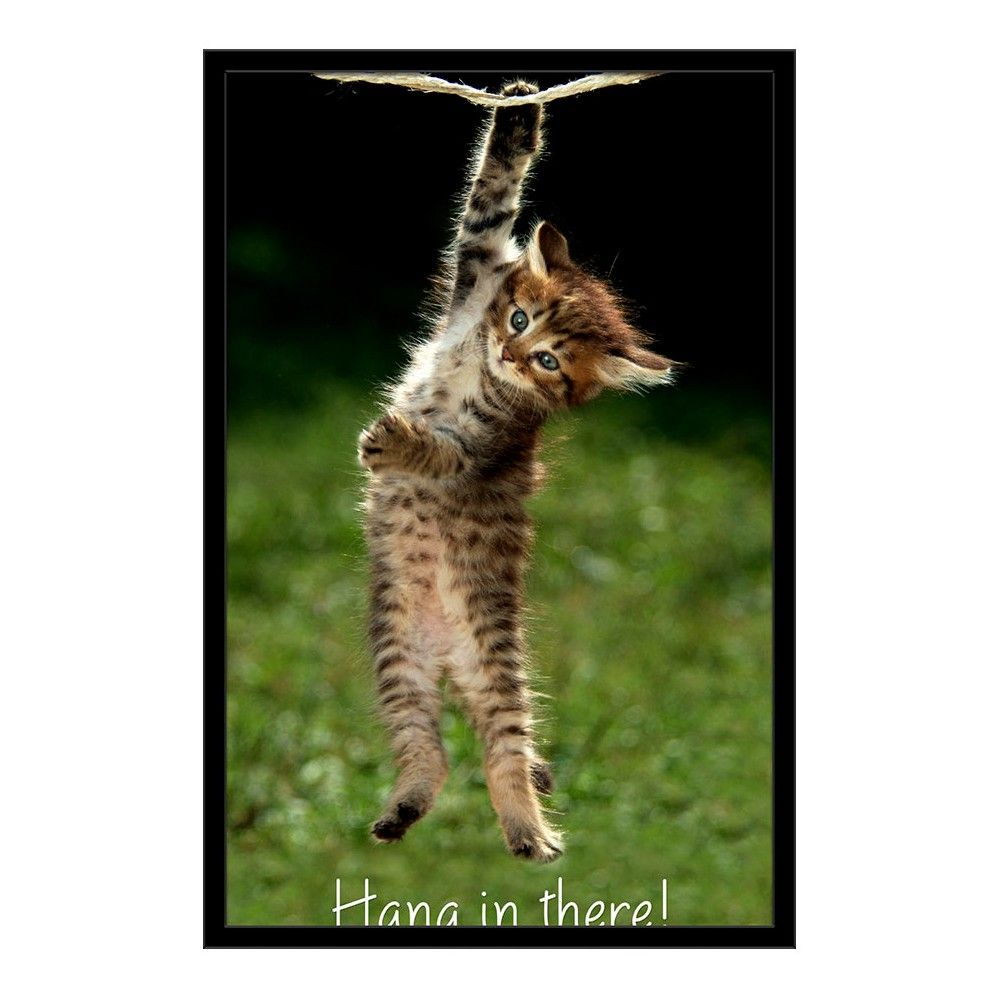 KITTEN HANG IN THERE BABY CANVAS QUOTES WALL ART PICTURES PHOTO PRINTS POSTER