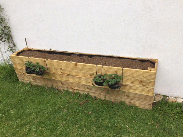 Angles biseautés et fraisiers suspendus #carrepotager