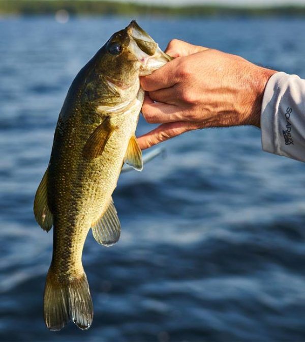 Fishing Adventure, Lennox, How To Memorize Things, Quebec, Ontario, Fun Stuff, County, Fun Things, Quebec City