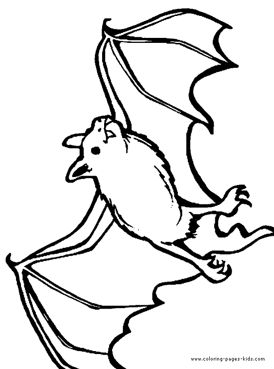 bat coloring bats animal coloring pages color plate coloring sheet