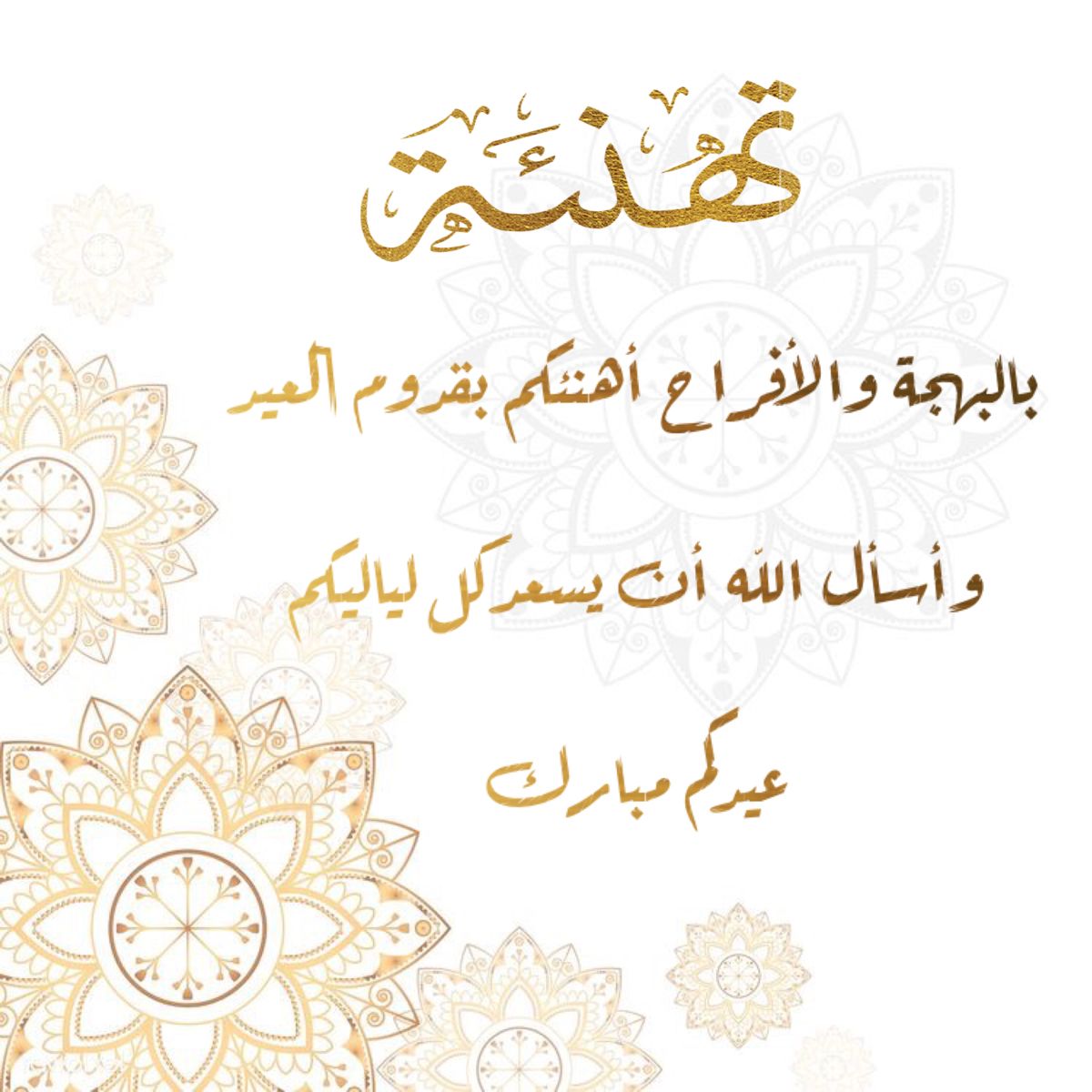 تصميم ثيمات على الطلب Pink Stars Pink Art