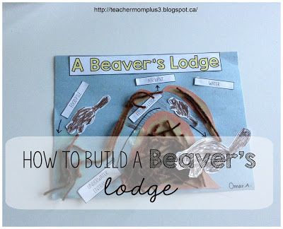 beavers lodge craft Fall Preschool, Kindergarten Science, Teaching Science, Teaching Ideas, Preschool Planning, Curriculum Planning, Preschool Plans, Wetlands Activities, Canadian Animals