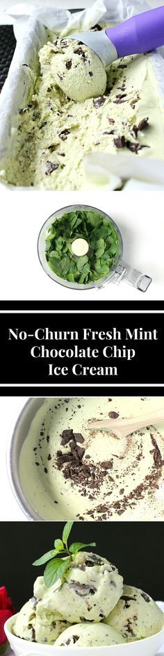 No-Churn, Fresh Mint Chocolate Chip Ice Cream - Wry Toast