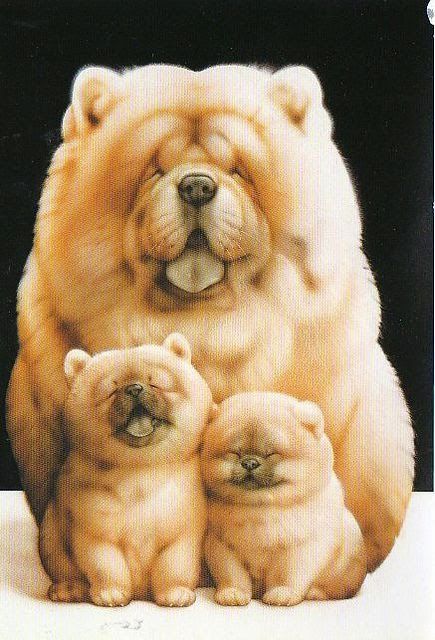 Can We Guess Your Age Based On Your Dog Breed Knowledge Cute