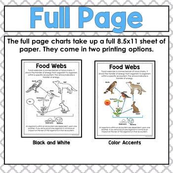 science posters bundle biology pinterest anchor charts science mini anchor charts bundle