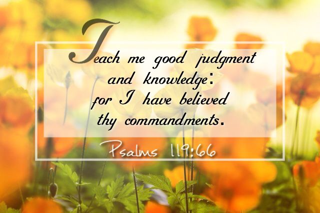 Psalms 119 66 KJV Psalms 119 66 KJV