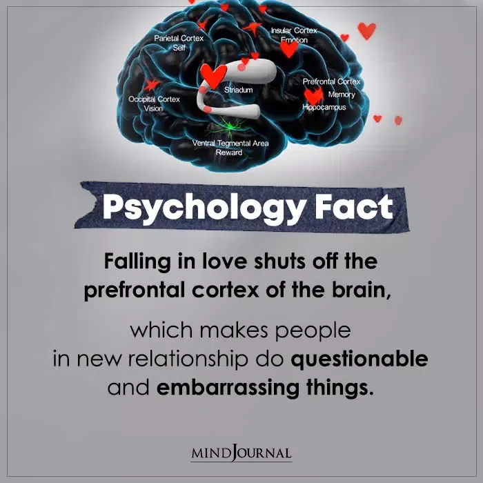 30 Psychological Facts About Love, That You Didn't Know