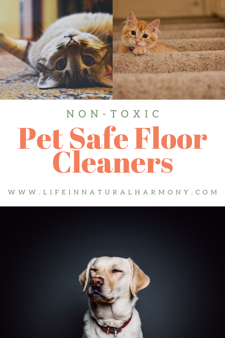 Pet Safe Floor Cleaners Cleaner Pet Safe Floor Cleaners
