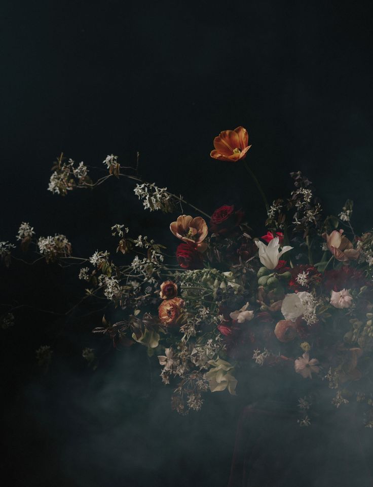 Inspired by Dutch Masters, these dark and moody florals channel 16th and 17th century Northern painters. The added smoke creates a cool photography effect. Moody Photography, Floral Photography, Still Life Photography, Wedding Photography, Dutch Still Life, Moody Art, Dark Flowers, Dark Floral, Amazing Flowers