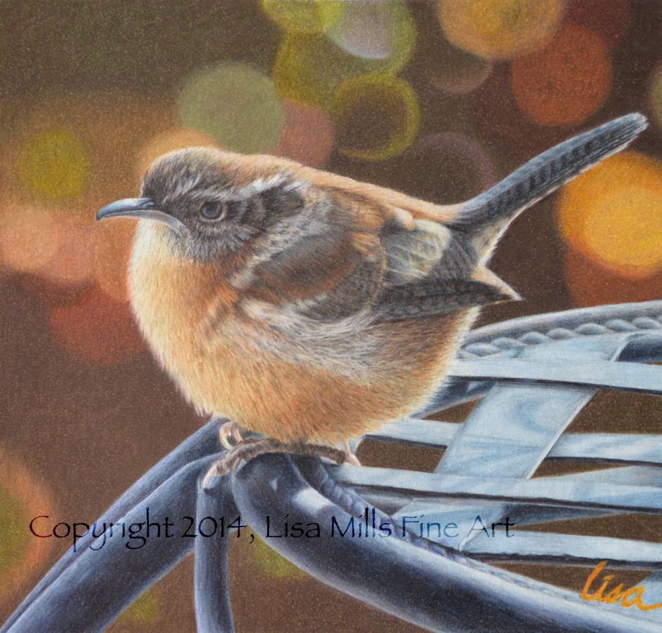 Carolina Wren Lisa Mills Color Pencil Art Color Pencil Drawing Bird Art Carolina Wren Lisa Mills Color Pencil Art Color Pencil Drawing Bird Art