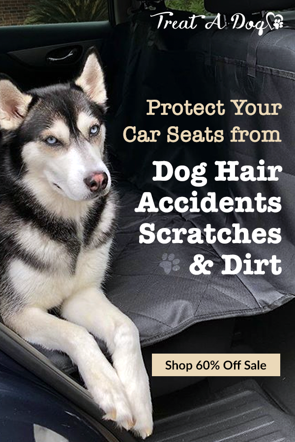 Mishen Car Pet Seat Covers Dog Seat Covers For Cars Anti Slip Waterproof Perfect For Cars Suvs And Truck Dog Seat Covers Pet Seat Covers Pet Car Seat Covers