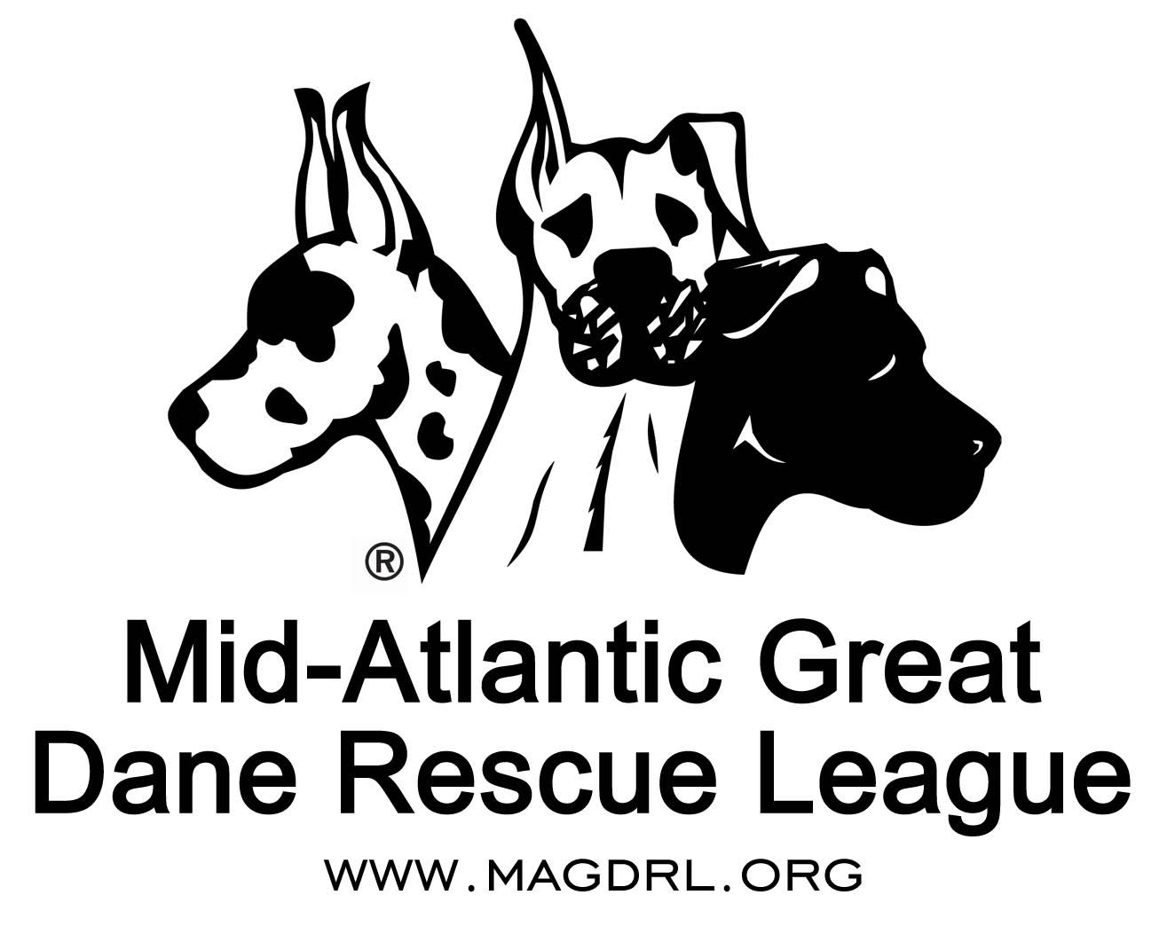 Mid Atlantic Great Dane Rescue League Magdrl Helps Danes And