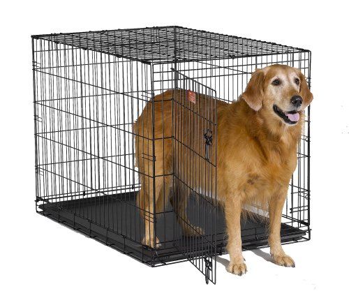 Midwest Icrate Folding Metal Dog Crate Wire Dog Crates Large Dog Crate Dog Crate