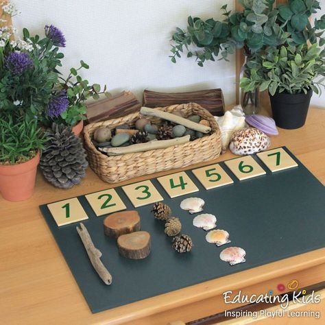 Educating Kids on Instagram: “Counting with nature. 🐚🌱🌲 . . . . . #educatingkids #inspiring #playful #learning #investigate #education #educate #kindergarten #preschool…”