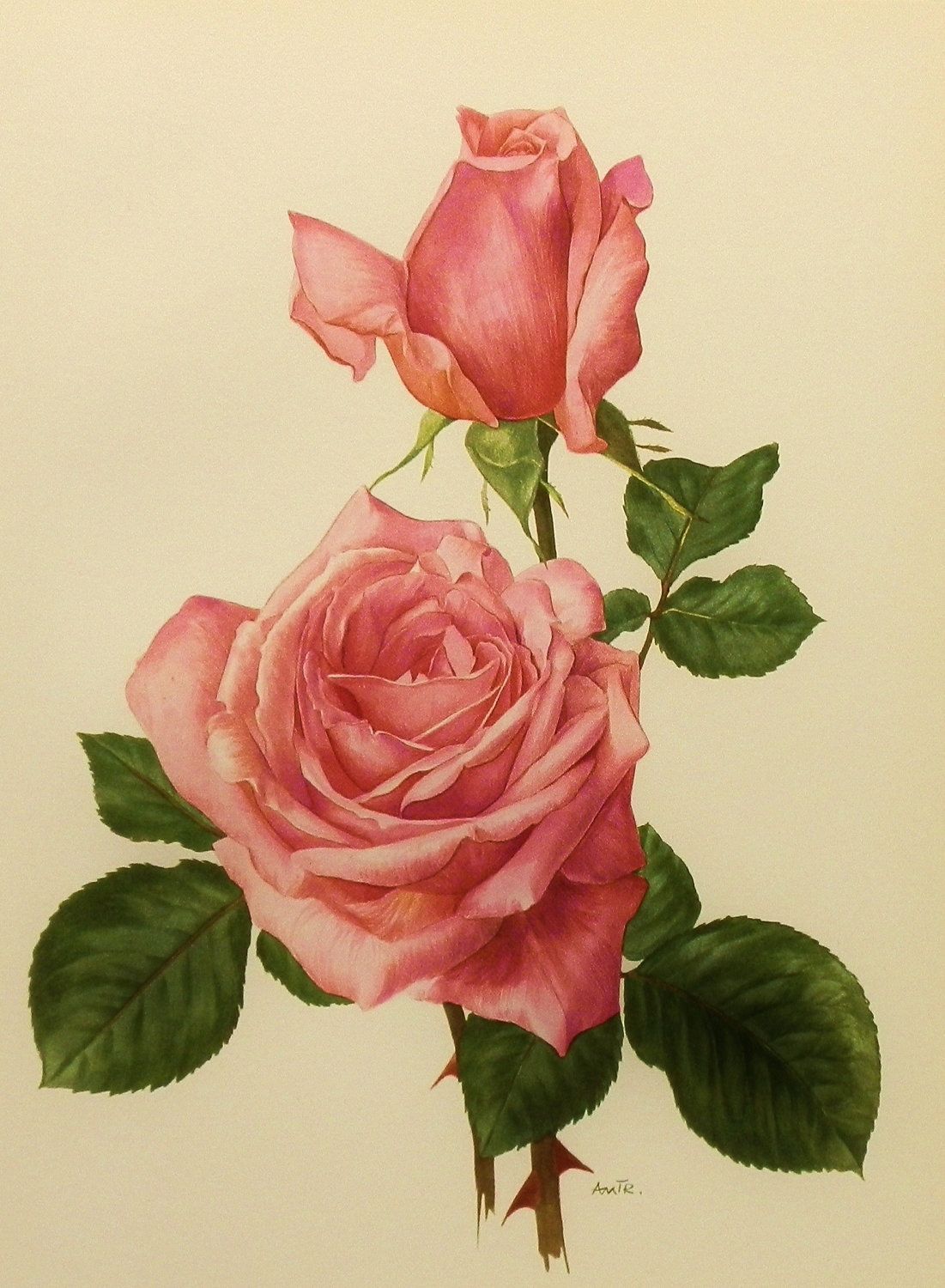 18flowers Watercolor Painting Skill Tips Come To See My Tips Hiart beautiful-flowers-wallpapers-simple-wallpapers-iphone-backrounds