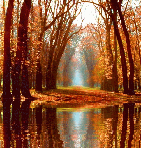 Pin by silvia levis on Imágenes animadas. | Autumn scenes, Beautiful landscapes, Beautiful fall