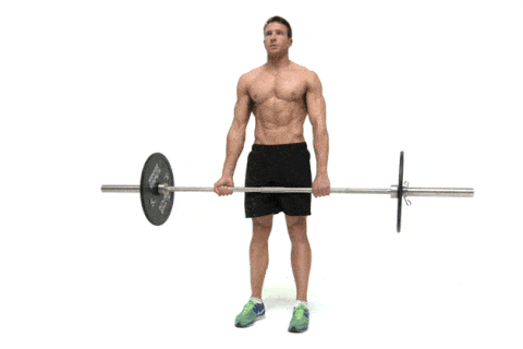 c7943c2ee3d1bc860a47f25163c9c526.gif