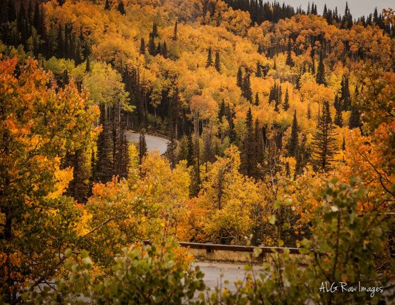 Fall Foliage In Park City Utah Near Deer Valley Ski Resort Mountain Fall Foliage In Park City Utah Near Deer Valley Ski Resort Mountain