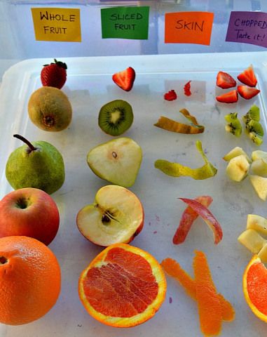 5 Senses Activities, Food Activities, Preschool Activities, Nutrition Activities, Fruit And Veg, Fruits And Veggies, Fresh Fruit, Vegetables, The Very Hungry Caterpillar