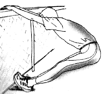 Etirement du dos et des muscles postérieurs de la jambe Etirement du dos et des muscles postérieurs de la jambe