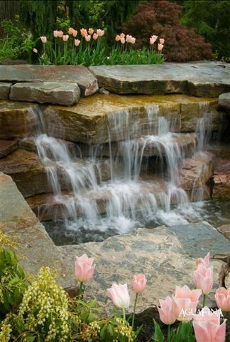 Pond Waterfall Design, Pictures, Remodel, Decor and Ideas - page 68 - estanques artificiales Pond Waterfall Design, Pictures, Remodel, Decor and Ideas - page 68 - estanques artificiales