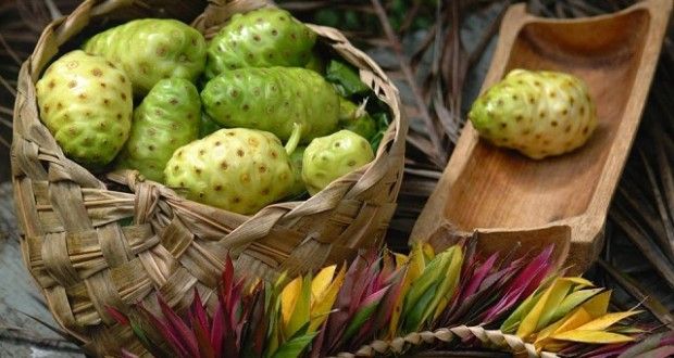 Noni para adelgazar como tomarlos Noni para adelgazar como tomarlos