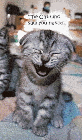 cat that saw you naked Big juicy tit meat