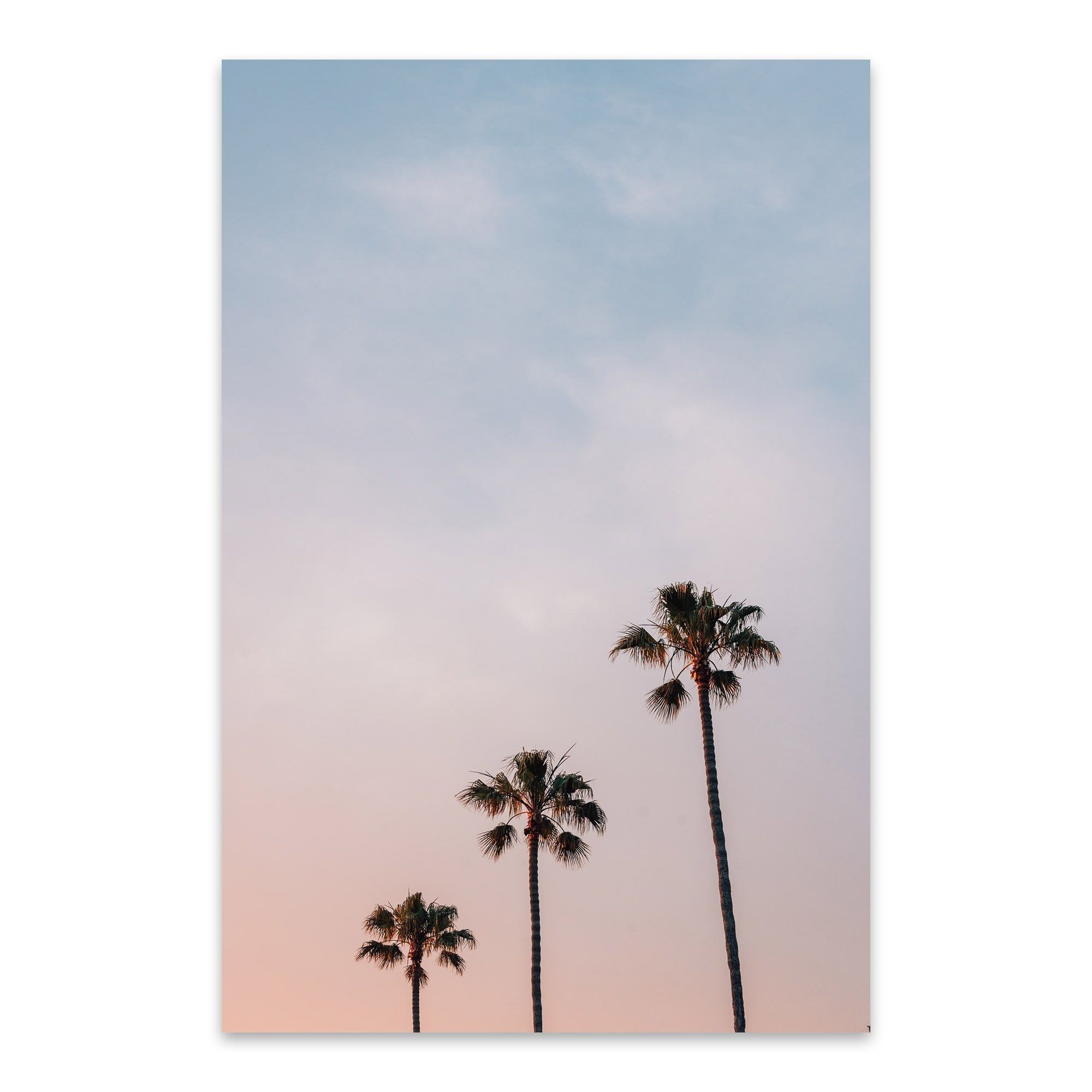 Laguna Beach Laguna Wall Tapestry Laguna Cliffs Laguna Beach Wall