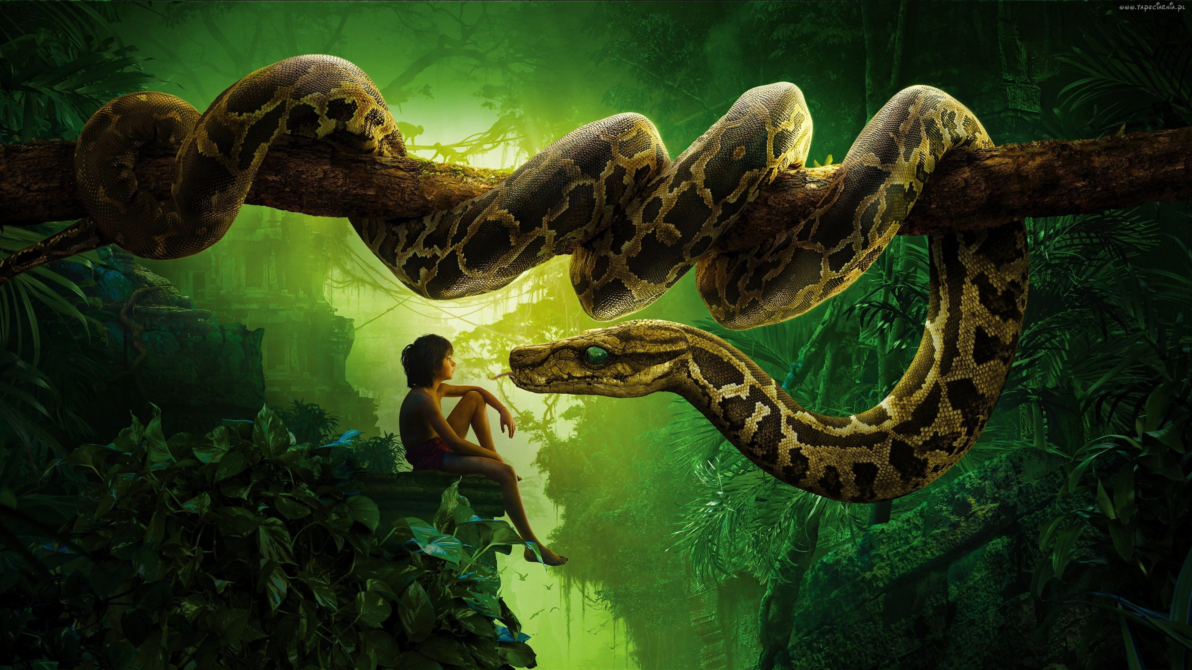 Chłopiec Wąż Skały Księga Dżungli El Libro De La Selva Libro De La Selva Kaa Papel Tapiz De Libros