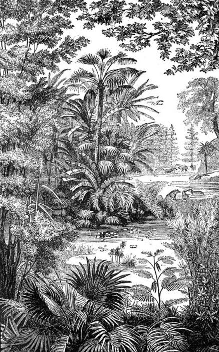 Avoir Images Gravure Ancienne En 2020 Papier Peint Panoramique Papier Peint actualisé salutations