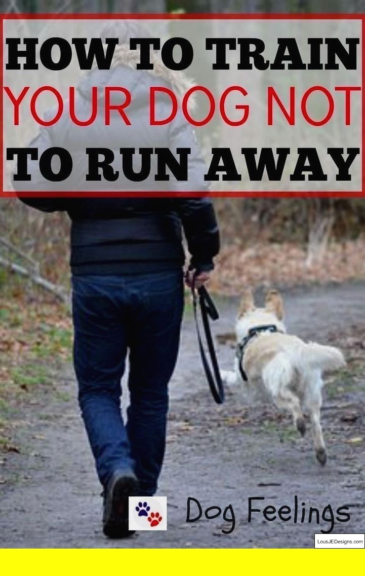 Potty Training Without Crate And Pics Of Husky Dog Training Books