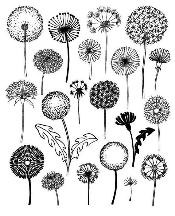 Dandelions, limited edition giclee print #framesandborders