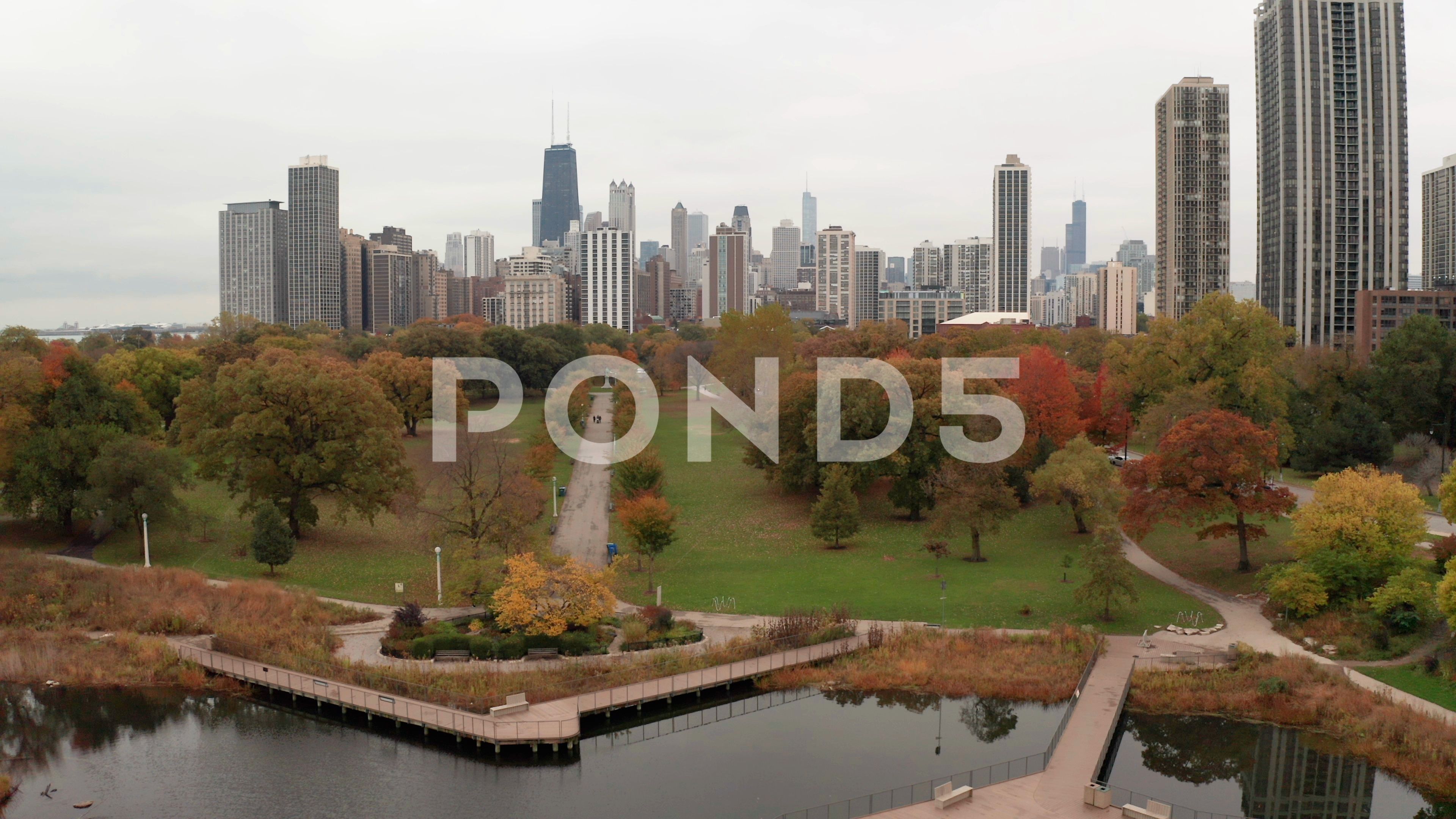Chicago Downtown Aerial Fall Autumn Foliage Buildings Drone Flying Skyline Stock Footage Ad Fall Autumn Foliage Chicago In 2020 Downtown Chicago Aerial Downtown