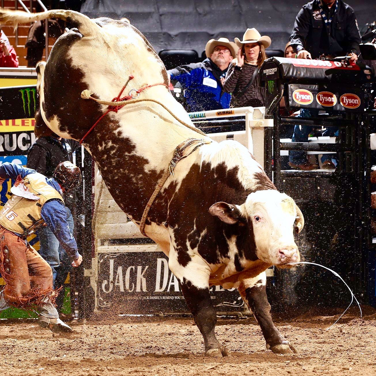 gay twinks with hard cock from Todd gay pro rodeo cowboys