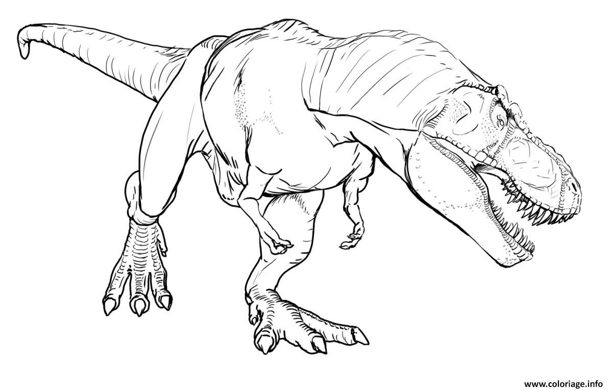 Coloriage De Dinosaure T Rex Pintar Dinossauros Dinossauro Rex Pintura Para Criancas Coloriage De Dinosaure T Rex Pintar Dinossauros Dinossauro Rex Pintura Para Criancas