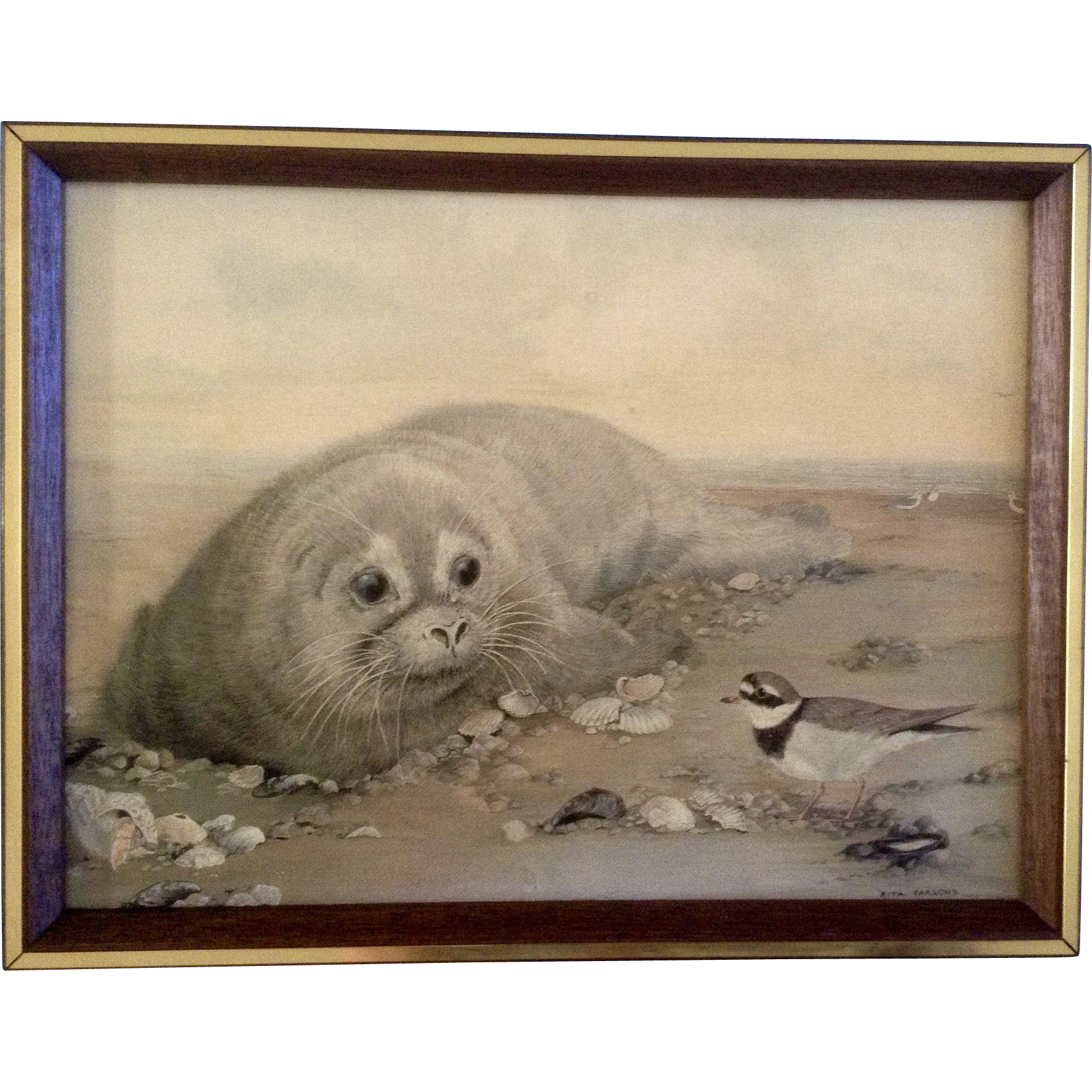 1926 Vintage ANIMALS /"SEAL/" GORGEOUS COLOR Art Print Plate Lithograph